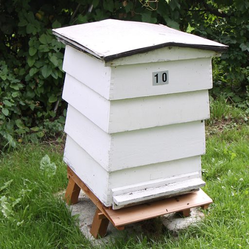 cropped-wbc-hive-600px-IMG_3382.jpg | Bromley Beekeepers