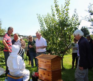 Mick Coen talking about his Flow Hive